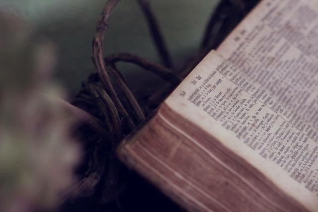 On Lady Mondegreen’s Eggcorns